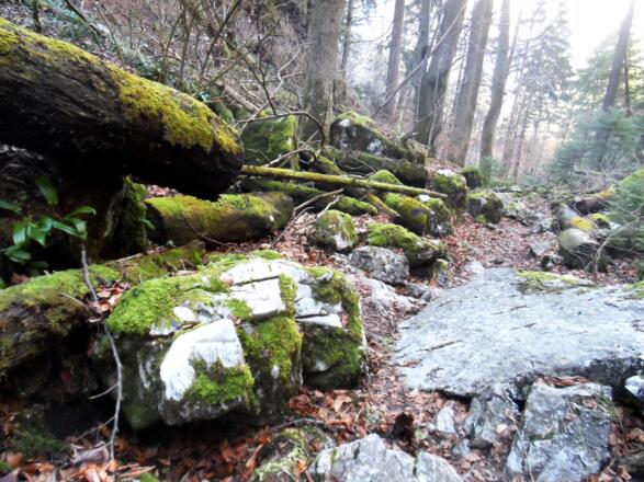 Märchenhafte Landschaft unterhalb des Gipfels