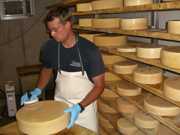 Käse der Alpe Berg in Balderschwang