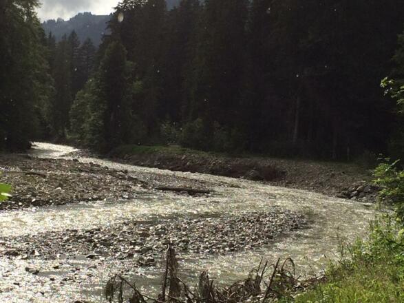 Gebirgsfluss Bolgenach mit schönen Kiesbuchen