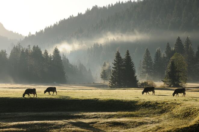 HUBERTUS Wandertrilogie