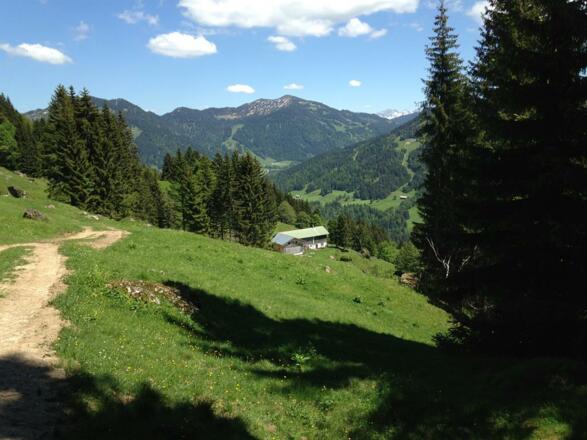 Natur PUR: Oberer Höhenrundweg