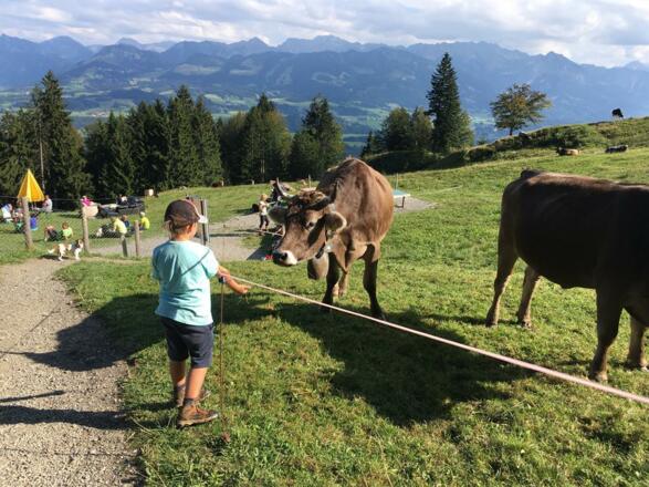 Wanderwege mit viel Abwechslung