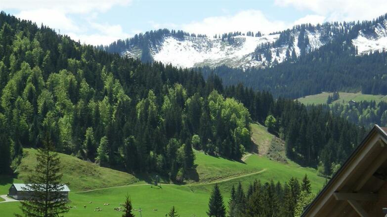 Aussicht nach Süden