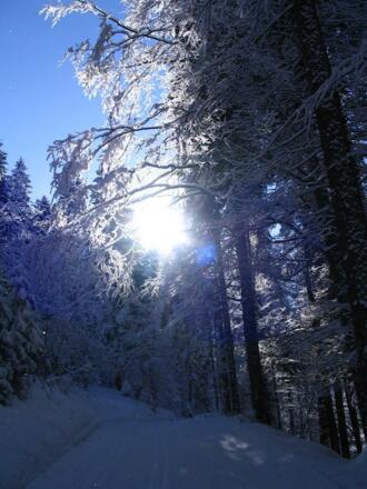Winterimpressionen LL-Schönenbach