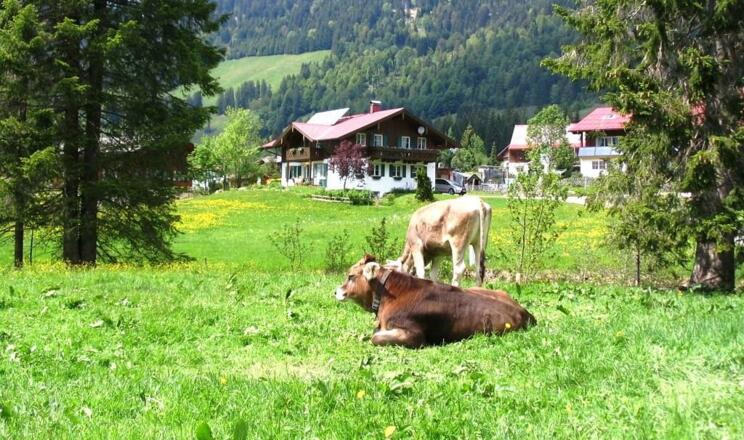 Landschaft von FeWO 013