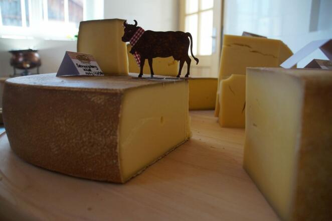 Auf Wunsch wird der Käse auch eingeschweißt, damit er gut transportiert werden kann und länger hält.