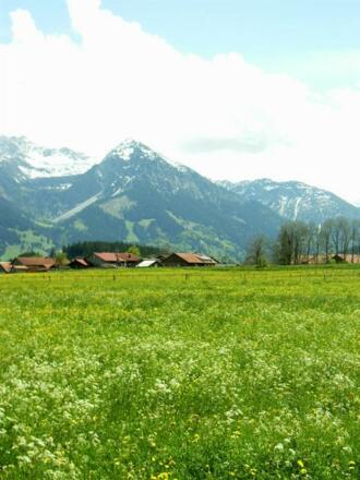 Blick vom Haus aufs Rubihorn
