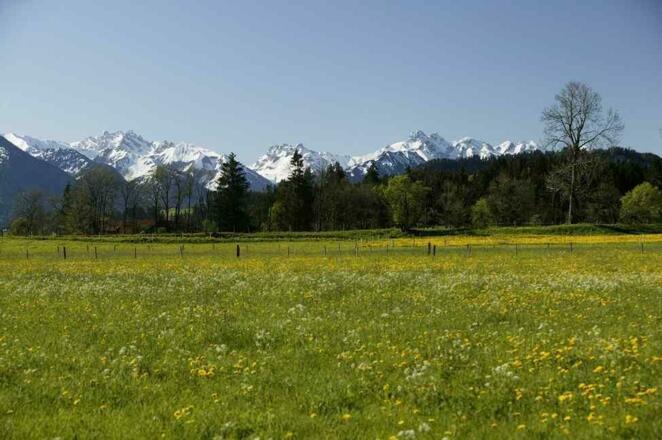 Blick vom Haus nach Süden