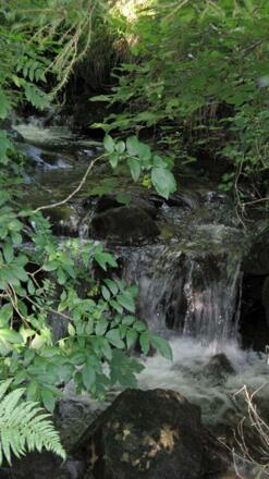 Bach, der am Haus vorbei fließt