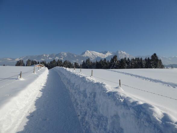 Winterwandern