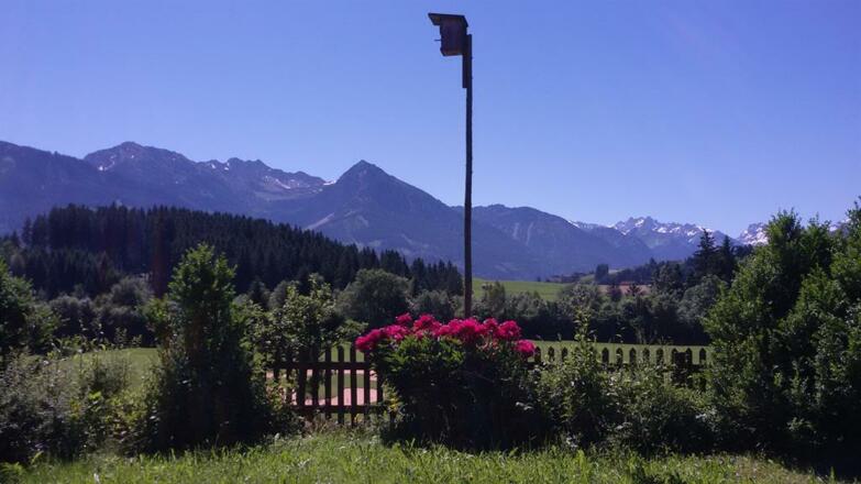 Ihre Ferien-Aussicht