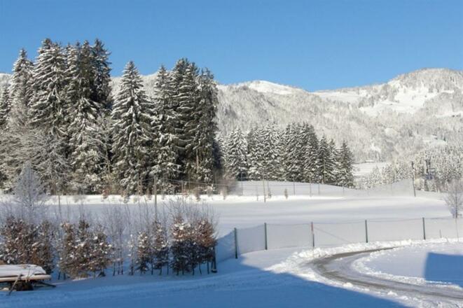 Traumblick - Blick im Winter