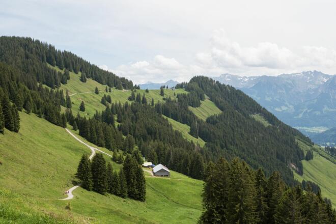 Der Ausblick vom Berghaus Schwaben auf die Alpe Hinteregg und die Bergstation der Hörnerbahn