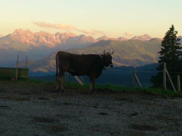 Stimmungsvoller Alpsommer in den Hörnerdörfern