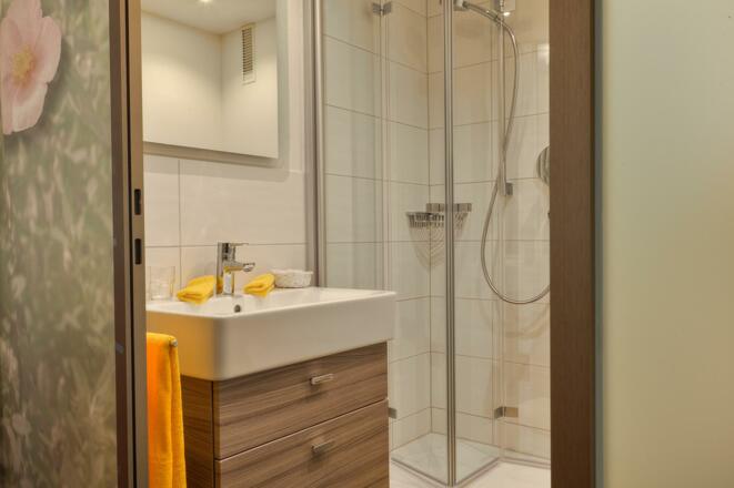 17_07_Zimmer_Sonnenröschen print_Chili_Photography