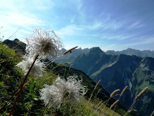 Allgäuer Bergwelt