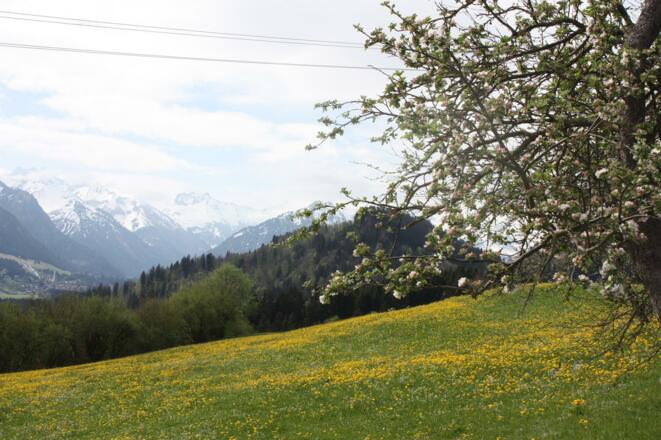 Bergfrühling: Fischen im Allgäu
