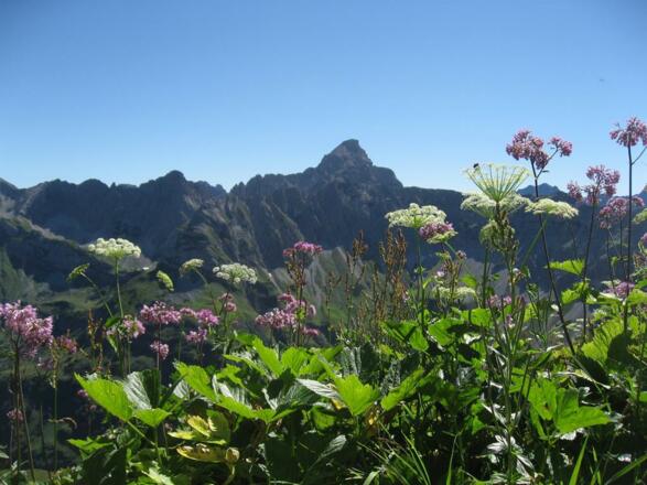 Wandern in den Hörnerdörfern - Blick auf Hochvogel