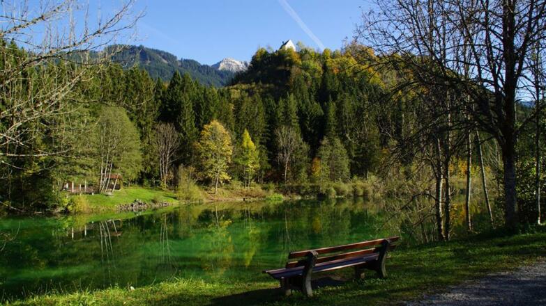 Auwaldsee bei Fischen-Au