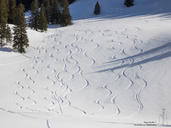 die Nordhänge am Predigtstuhl
