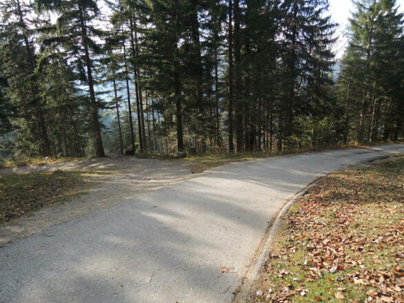 Forststraße Richtung Hohenaschau, links unser Abzweig