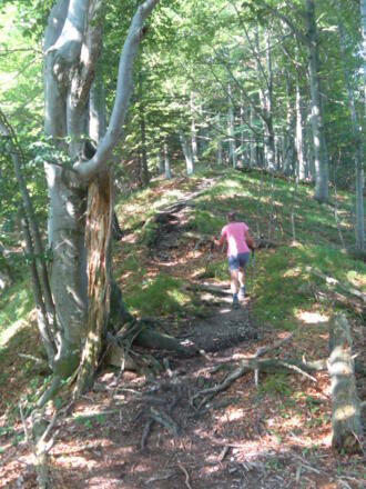 Hammerstein Nordrücken