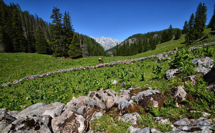 Im Nationalpark Berchtesgaden unterhalb des Hochkalters: Die Ragert