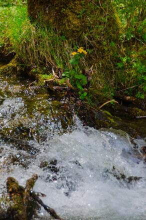 Am Fuße des Röthbachfalls