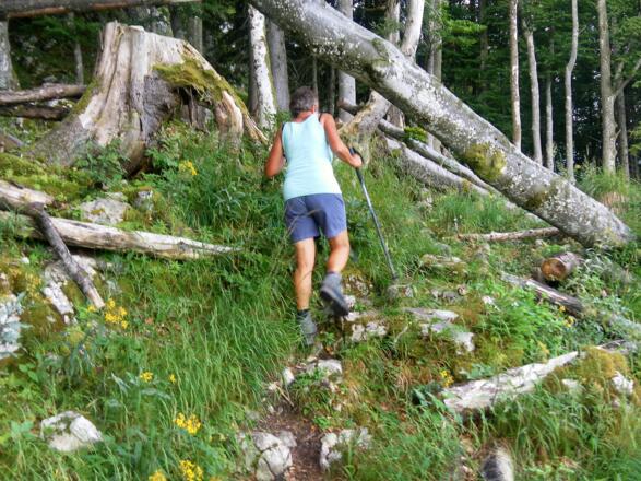 unmarkierter Anstieg