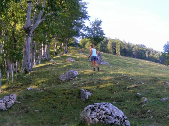 am Almrücken zum Hammerstein