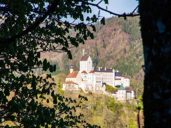 Das Schloss Hohenaschau ist immer wieder durch die Bäume hindurch zu sehen.