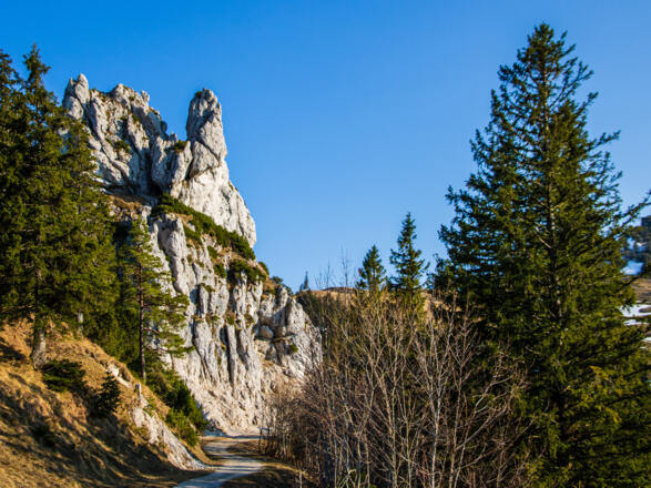 Man geht am markanten Turm des Hirschenstein (Zehentnerturm) vorbei