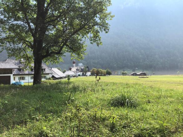 Blick auf den Königsee