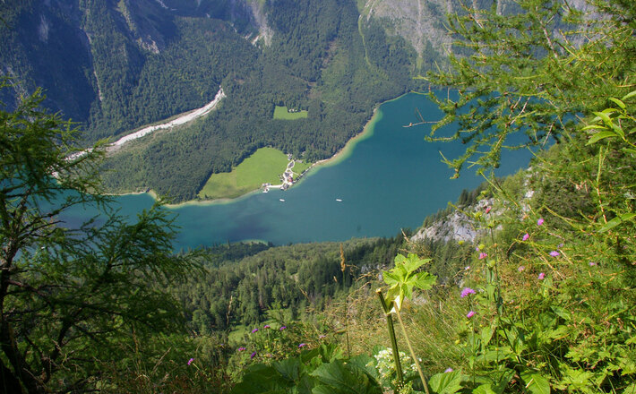 Herbstliche Steinerne Agnes