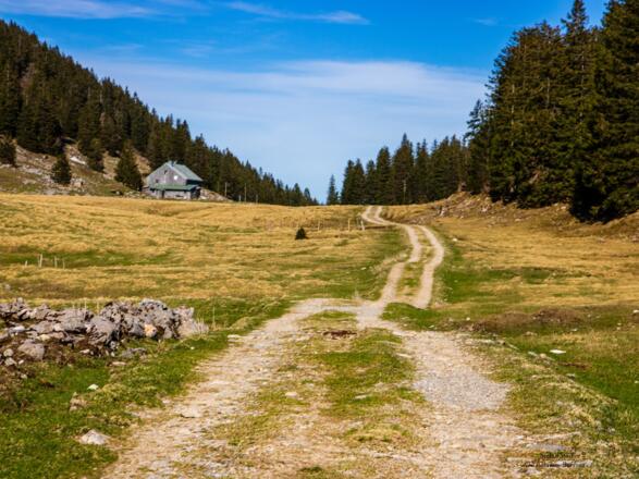 Die Riesenhütte auf dem Almgelände.