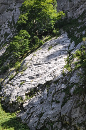 Karren auf Gletscherschliff