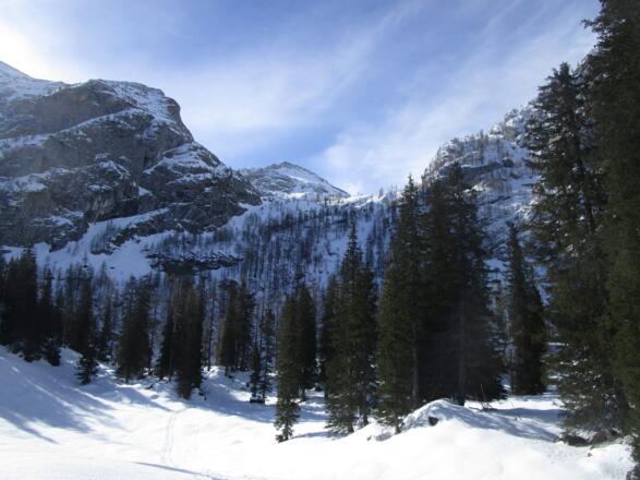 Blick zurück - direkt an den Felswänden sind die wenigsten Bäume