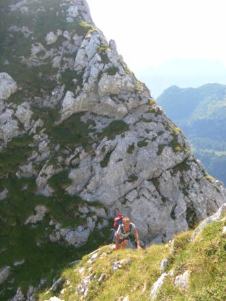 Graskante zum Vorgipfel