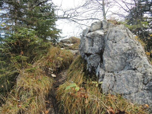 Aufstieg zum Aussichtspunkt