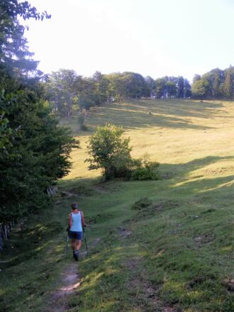 Abzweig bei der Hofalm