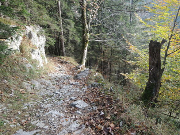 Über einen Pfad geht es bergab.