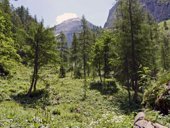 Aufstieg zum Seeleinsee