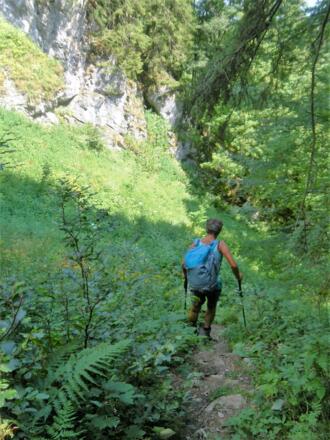 Ostabstieg vom Laubenstein