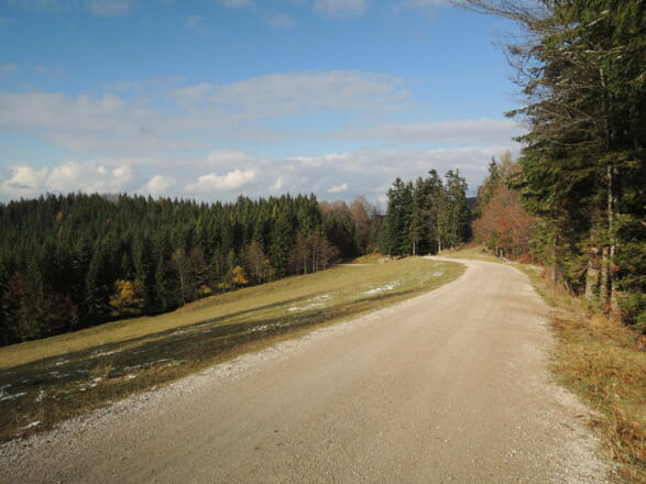 Forststraße Richtung Hohenaschau