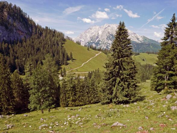 Oberhalb der Königsbachalm