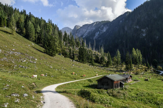 Die Gotzentalalm