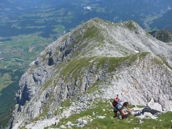 Rückblick zum Vd. Freieck