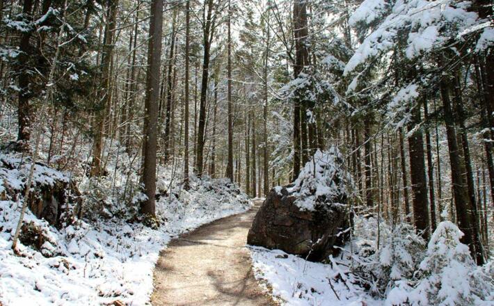 Winterwandern am Königssee