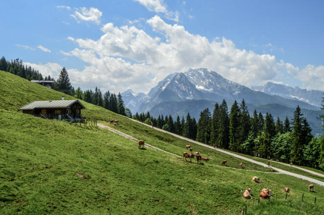 Almgelände an der Jennerbahn Mittelstation