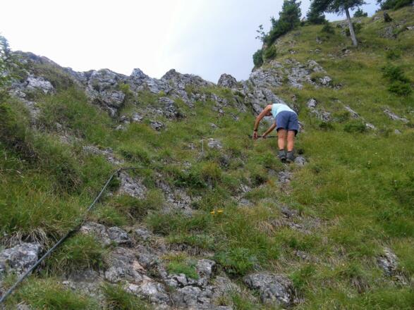 Zackengrat zum Zellerhorn
